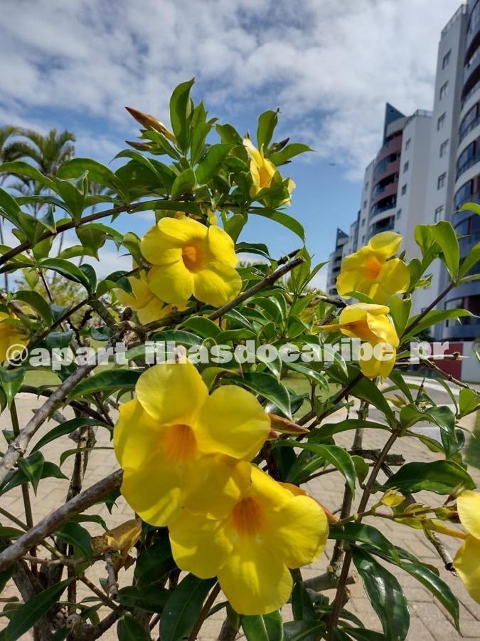 Apto Cond Ilhas Do Caribe - Pr - Beira Mar Matinhos Dış mekan fotoğraf